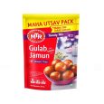 MTR Gulab Jamun Mix-160gm