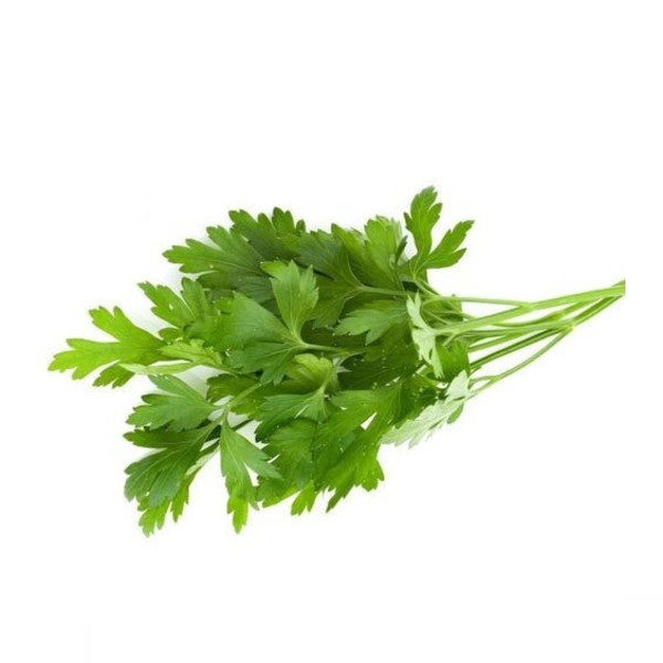 Coriander Leaves/కొత్తిమీర-100gm